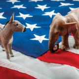 Image of a donkey, elephant and American flag