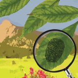 Magnifying glass uncovers fingerprint, Flatirons in the background