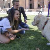Students play with a therapy dog