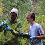 Two researchers are in the forest, analyzing a sample and taking notes