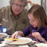 Preschooler examines dirt at a CU Museum of Natural History Family Day event