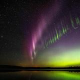 Auroras