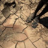 Feet standing on dry, cracked earth