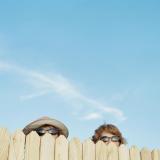 two people peek over a neighbor's fence