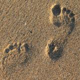 Footprints in sand