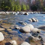 riverbed with rocks, stones