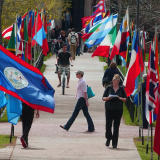 A CU Boulder campus sidewalk with world flags on either side of it