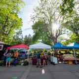 Boulder Farmers Market 2017