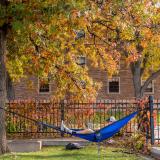 Person lounging in a hammock outside on campus