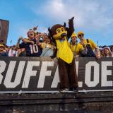 Chip the buffalo mascot stands on the sideline cheering with fans