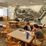 Students appear to study in the earth sciences library on campus.