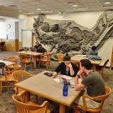 Students studying in the Earth Sciences and Map Library