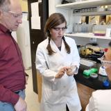 Karl Linden looks at a bacterial culture in his lab.