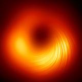 Image of the black hole M87* 