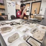Abel Campos, majoring in Ecology & Evolutionary Biology, examines a fossil in the Invertebrate Paleontology department at the University of Colorado Museum of Natural History. (Photo by Casey A. Cass/University of Colorado)
