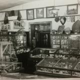 Old photo of the natural history museum at Hale