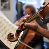 Person playing violin, looking at sheet music