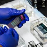 A technician at the Cancer Genomics Research Laboratory in Maryland