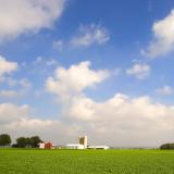 A farm in Ohio