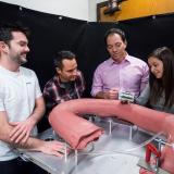 researchers with model of robotic small intestine