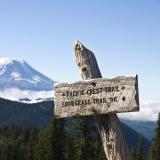 The Pacific Crest Trail