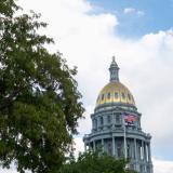 Dome of Colorado State Capitol Building with tree in the foreground