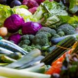 Vegetables on display