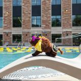 Swimming pool on CU Boulder campus with a stuffed animal Ralphie.