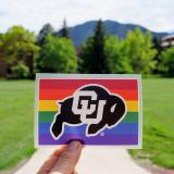 CU Buffs LGBTQ+ pride sticker