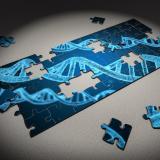 Puzzle pieces illustrating genetic material