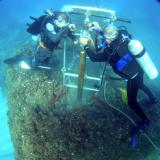 Divers collect sample of Roman marine concrete