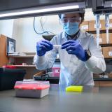researcher examines samples in lab