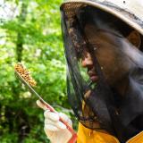 Samuel Ramsey dons a beekeeper suit to remove a sample of honeycomb
