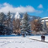Students walk across a snowy campus