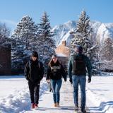 Students walking through snow-cleared sidewalk on campus