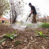 Grounds technician Pedro Vasquez uses a machine that provides hot steam to safely kill weeds