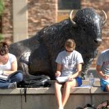 Students studying in front of a buffalo statue