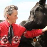 Temple Grandin interacts with a cow