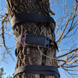 A tree "Fitbit" is strapped to a trunk.