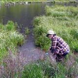 Student explores marsh as part of UROP project