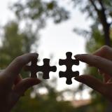 Person holding two puzzle pieces