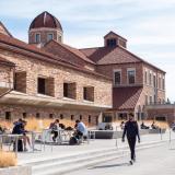 students studying on campus