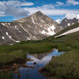 Niwot Ridge