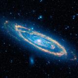 The Andromeda Galaxy as seen by NASA's Wide-field Infrared Survey Explorer (WISE)