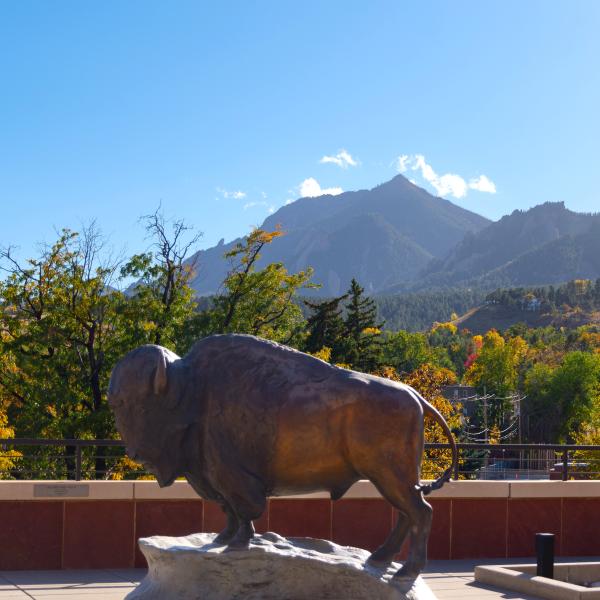 Buffalo statue on the roof of the CASE building
