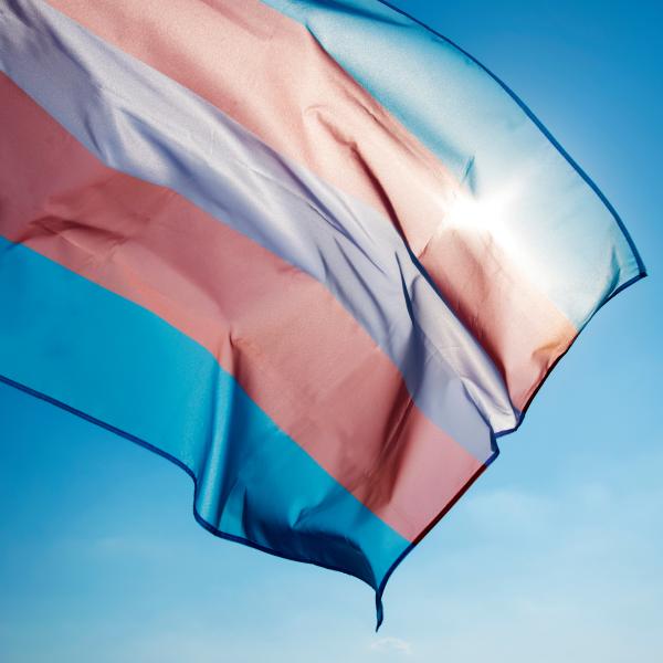 transgender pride flag