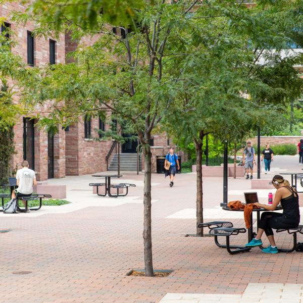 students studying on campus