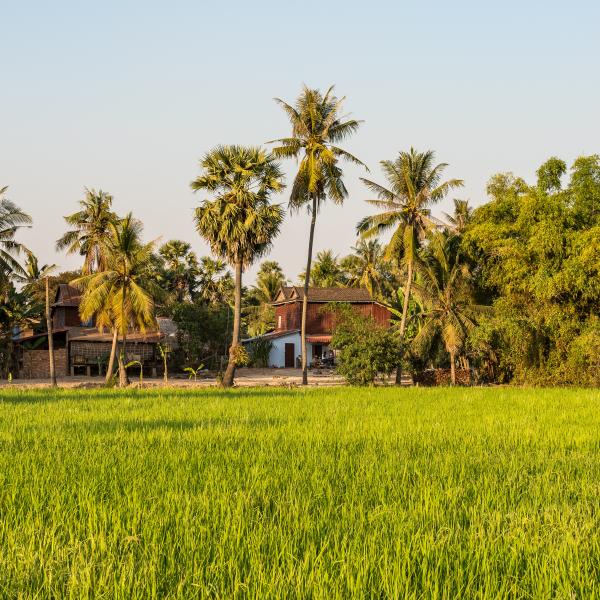 Rural Cambodia
