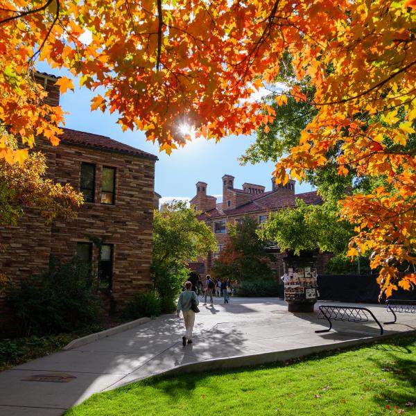 Campus community members walking on campus surrounded by fall colors