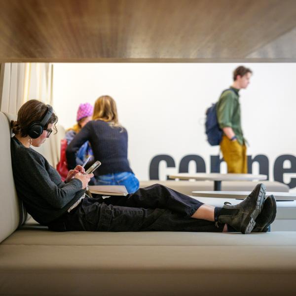 person on laptop